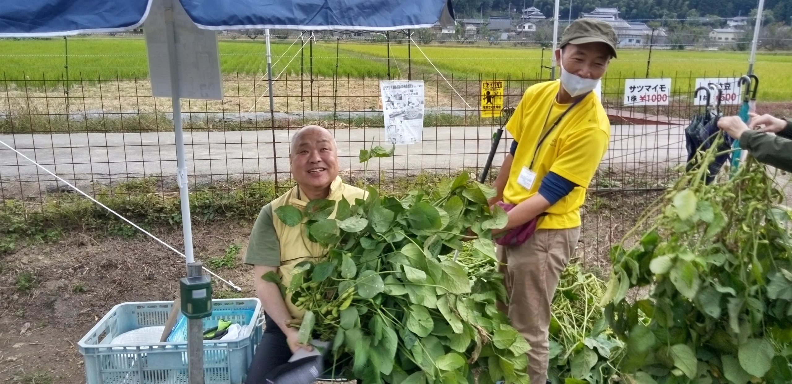 畑で黒豆の草の束を、笑顔で抱えるおじさん二名の画像